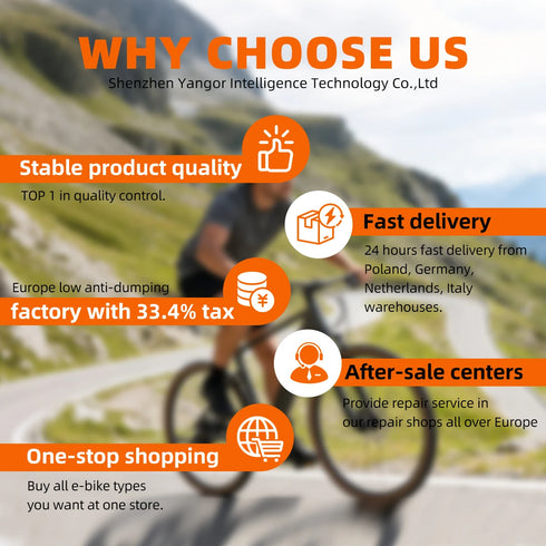 YANGOR 250W Electric Bike, 28" Ultra-Light Frame, Long Range, city & Road Bicycle, Suitable for Both Men and Women E-bike CE EU