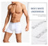 CRIIS SEVEN 7 Boxer Hombre Cotton Cristiano Ronaldo Men Sport Shorts Underwear Male Brand Boxer Men's Briefs Mens Gift Underpant