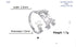 Custom Double First Name Finger Ring For Women Men Personalized Couple Family Gift Gold Color Stainless Steel Metal Jewelry