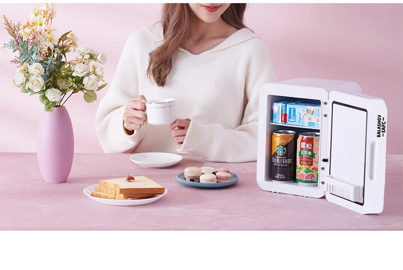 4L Mini Refrigerator Multifunction Cosmetics Cosmetic Dormitory Cooler Fridge Dual-use for Home Car Small Portable Fridge Mirror
