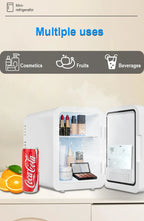 Mirror Car Refrigerator Home Small Fridge Mask For Makeup Cosmetics Home Refrigerator Cooling With LED Light Refrigerator For Makeup 4L/6L EU