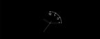 Global Version OnePlus Watch lite SmartWatch,1.46 inches Display,59g,10 Days of Reliable Power,Heart Rate,Blood Oxygen Monitorin