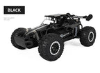 Oike RC Car 1:16 Model With LED Lights Radio Off-road Remote Control Climbing Vehicle Outdoor Cars Drift Race Toys Boys Gifts
