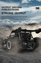 Oike RC Car 1:16 Model With LED Lights Radio Off-road Remote Control Climbing Vehicle Outdoor Cars Drift Race Toys Boys Gifts