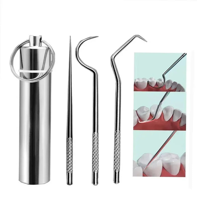 Stainless Steel Toothpick Set Reusable Toothpicks Tooth Flossing Tartar Removal Tool Portable Teeth Cleaner for Tooth Oral Clean