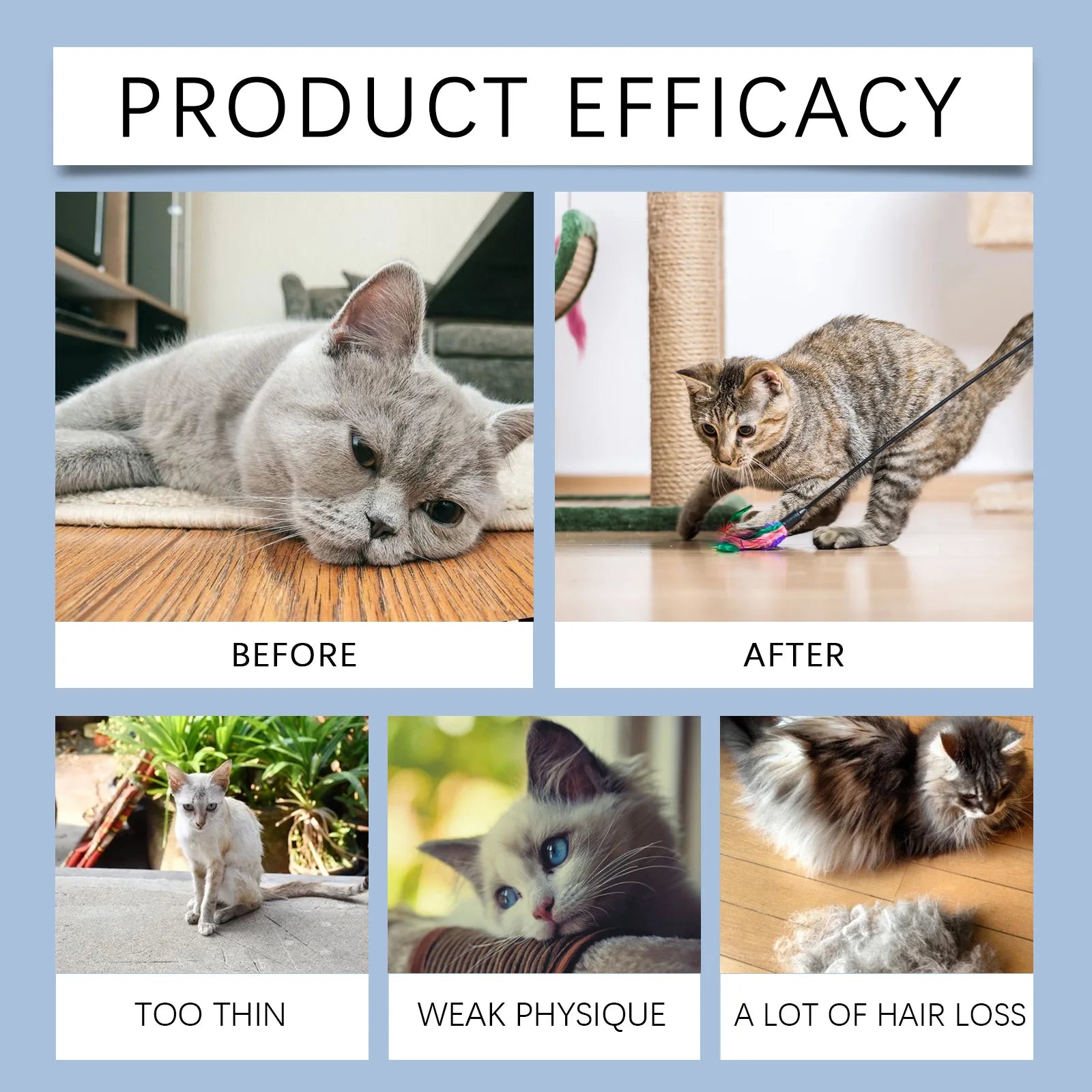 Yegbong 50ml Cat Vitamin Supplement Daily Care to Help Nutrition, Promote Growth, and Support Cat's Recovery, Vitamin Care Drops
