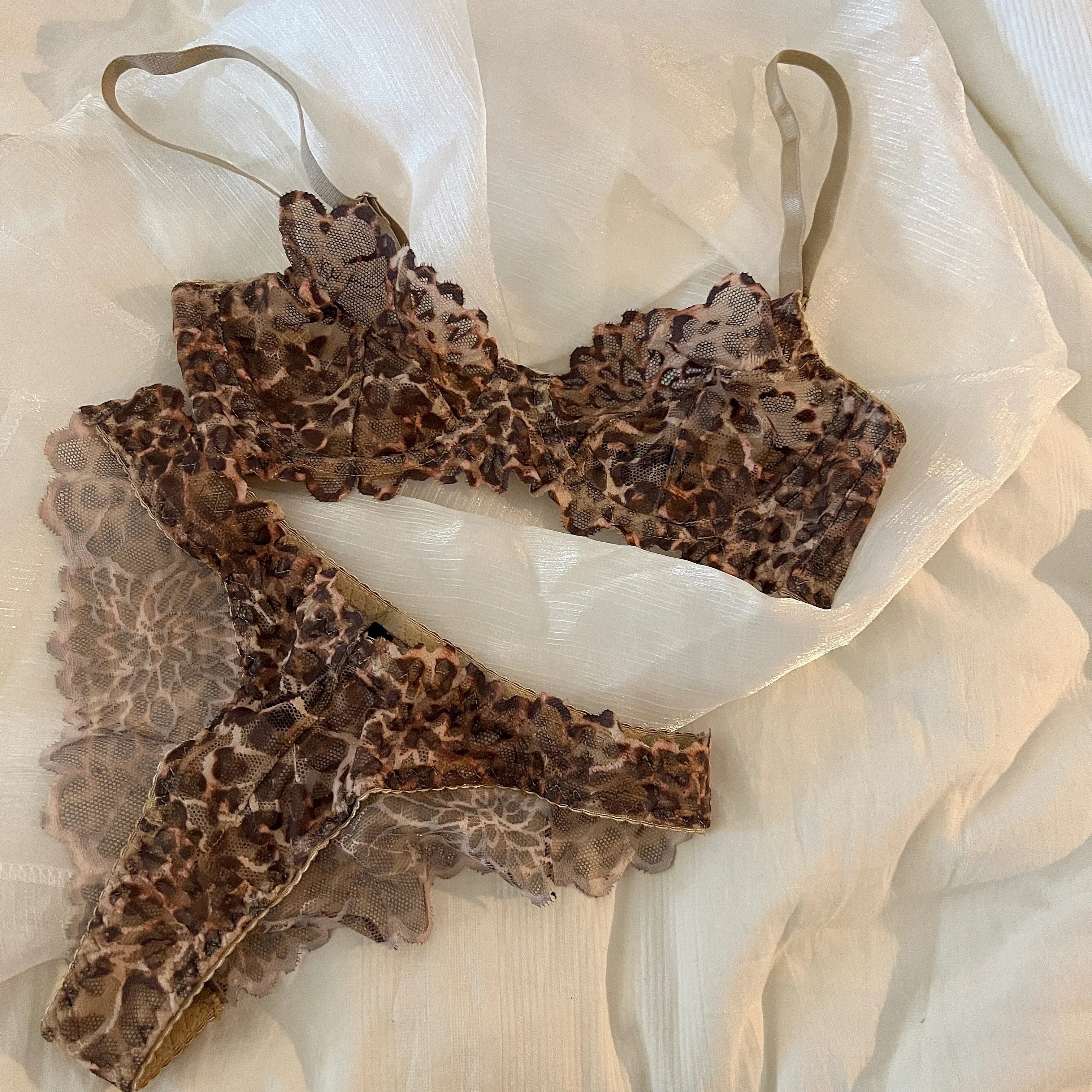 French Sexy Underwear Thin Leopard Print Transparent Lingerie Comfortable Women's Gathered Underwire see through bra Set Thong Secondary image